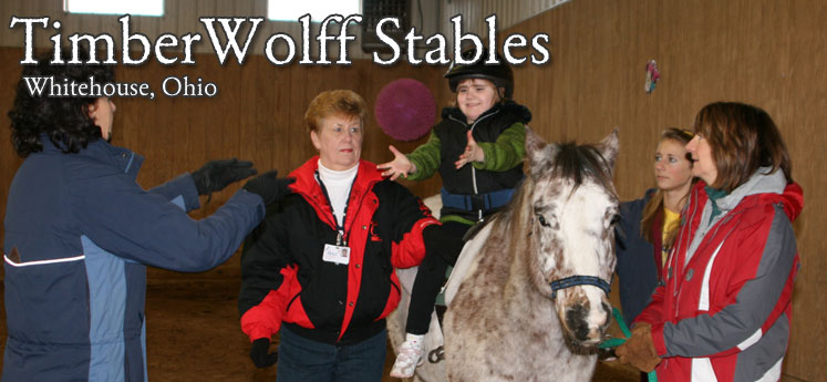 Timberwolff Stables Whitehouse Ohio - Hippotherapy Program with St. Vincent Mercy Children's Hospital